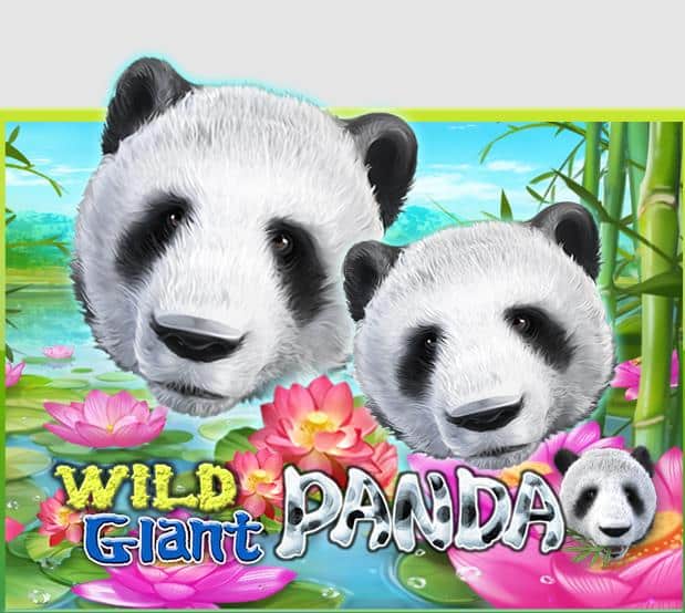 918kiss_Wild_Giant_ Panda_รีวิว