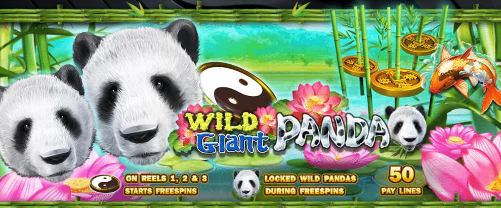 918kiss_Wild_Giant_Panda_โบนัสฟรี