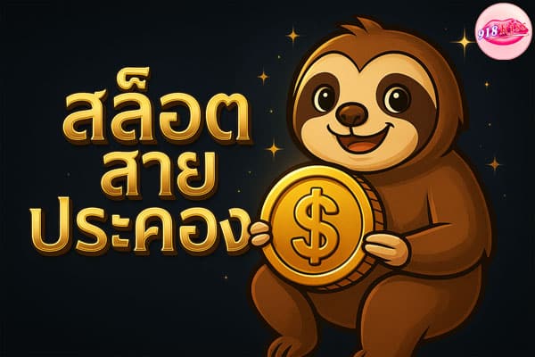 สล็อตสายประคอง
