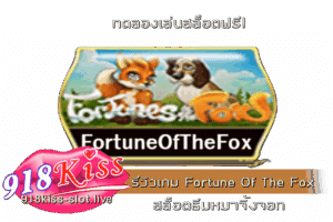 รีวิวเกม Fortune Of The Fox