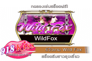 รีวิวเกม Wild Fox